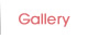Gallery　ギャラリー｜レーシングドライバー【咲川めり】公式サイト