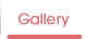 Gallery　ギャラリー｜レーシングドライバー【咲川めり】公式サイト